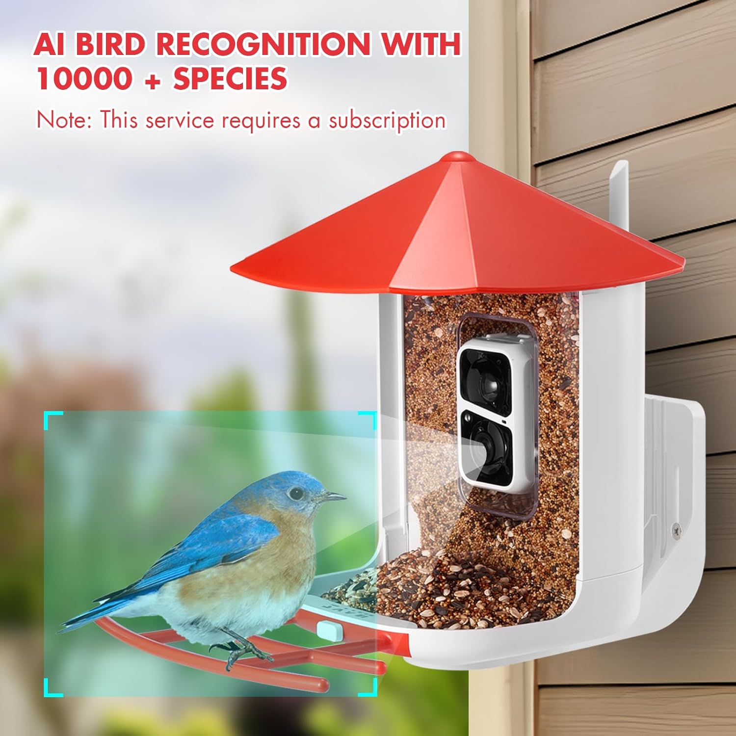 Bird Feeder with Camera, Smart Bird Feeder Camera, Bird Watching Camera with AI Identify Bird Species, 2K HD Auto Capture Bird Videos & Motion Detection, Ideal Gift for Birder Bird Lovers