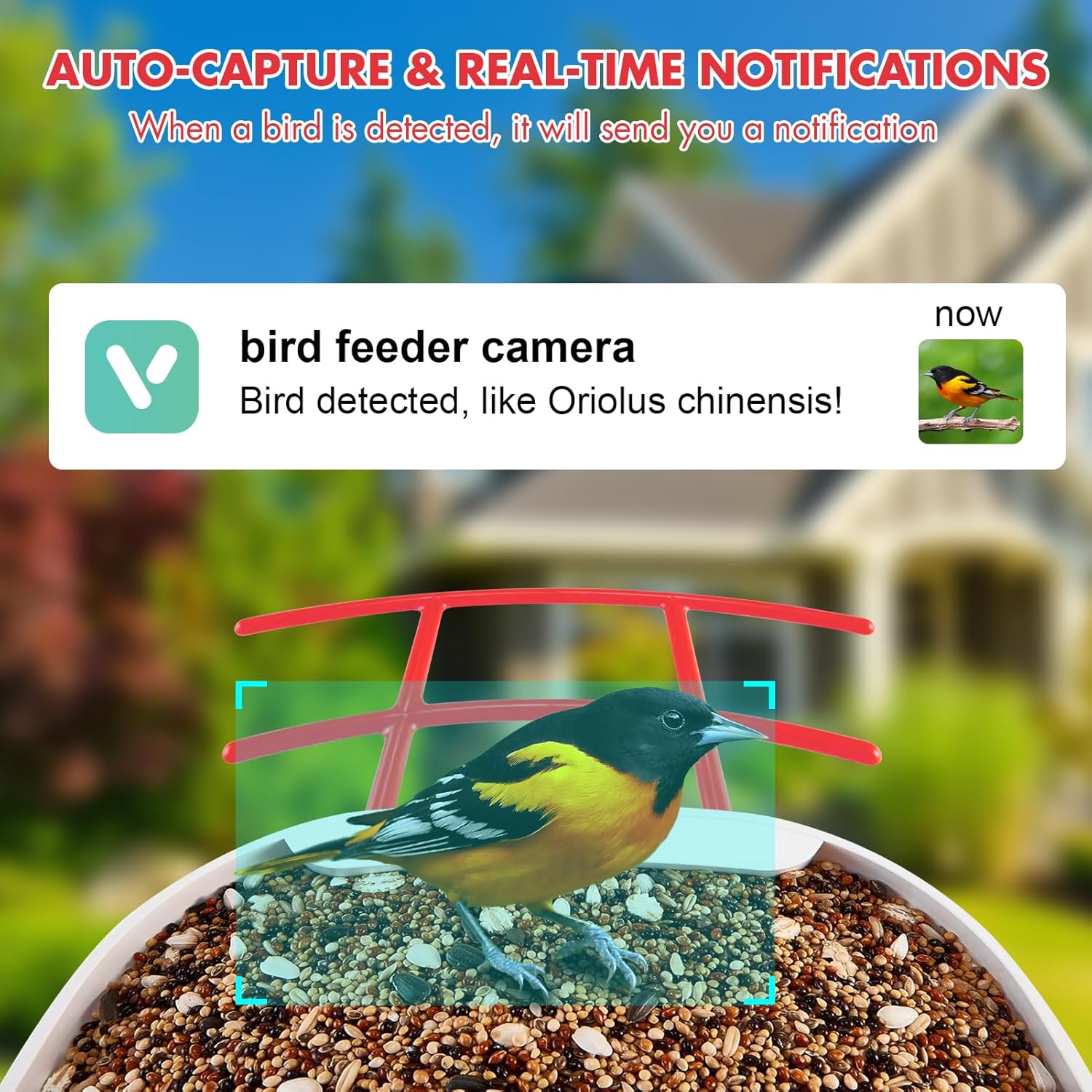 Bird Feeder with Camera, Smart Bird Feeder Camera, Bird Watching Camera with AI Identify Bird Species, 2K HD Auto Capture Bird Videos & Motion Detection, Ideal Gift for Birder Bird Lovers